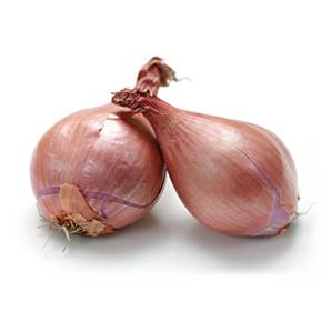 >> Shallots SMALL