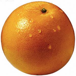 >> Oranges PER CASE