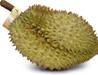 >> CASE RATE: Whole Durian Ri6