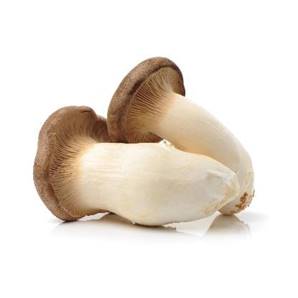 >> CASE RATE: King Oyster Mushroom