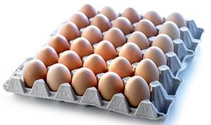 @@ CASE Fresh Eggs Size