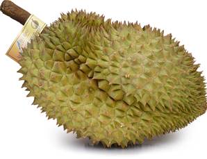 >> CASE RATE: Whole Durian Ri6