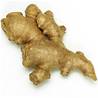 >> LOOSE RATE Fresh Ginger per kg