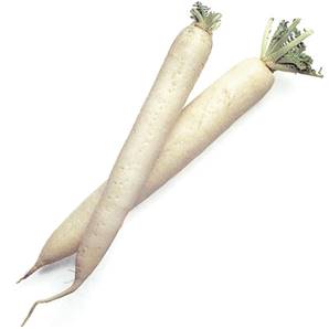 >> Fresh Mouli/Radish 15kg CASE