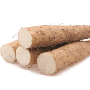 >> CASE RATE: Vacuum Chinese Yam