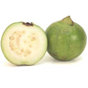 >> LOOSE RATE Giant Guava