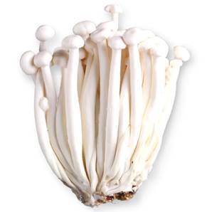 >> CASE RATE: Seafood Mushroom