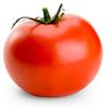 >> Tomato