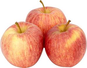 >> CASE RATE Gala Apple 12.5kg