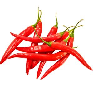 >> Small Red Chilli